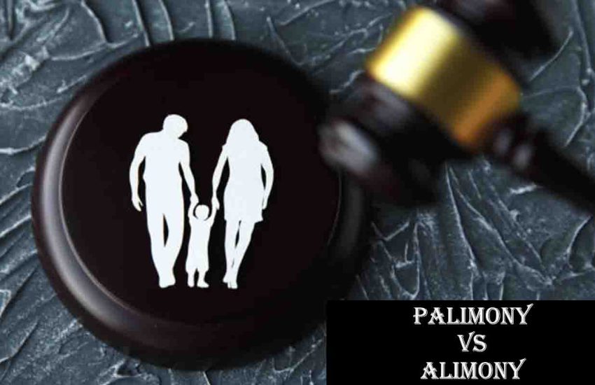 Palimony vs Alimony - What's the Difference?