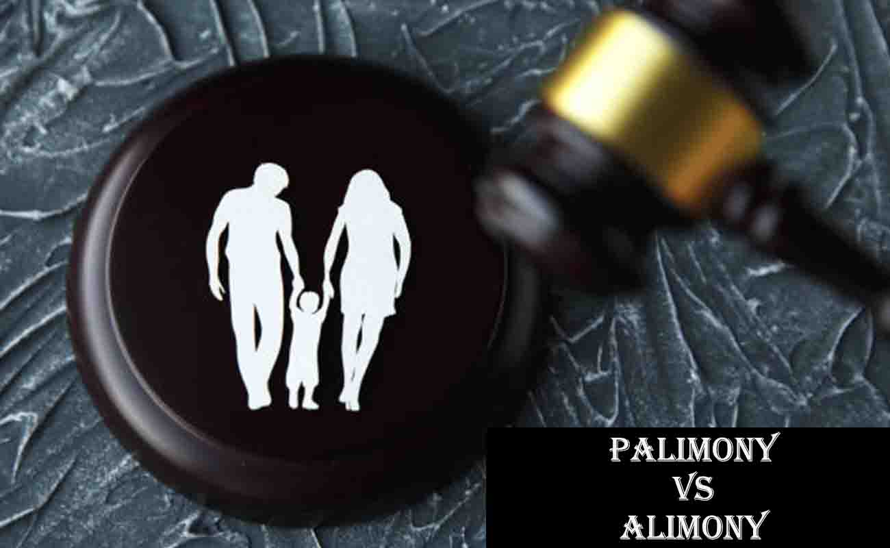 Palimony vs Alimony - What's the Difference?